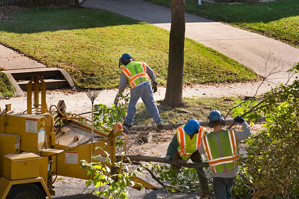 Best Tree Trimming Near Me  in Heathcote, NJ